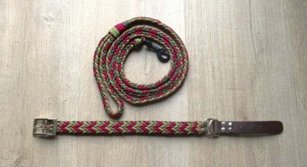 Hondenhalsband - Afbeelding 2