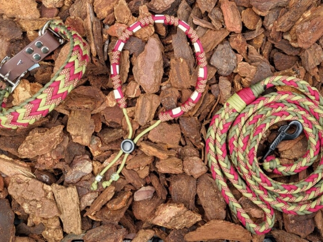 Hondenhalsband Zusjes De Jong