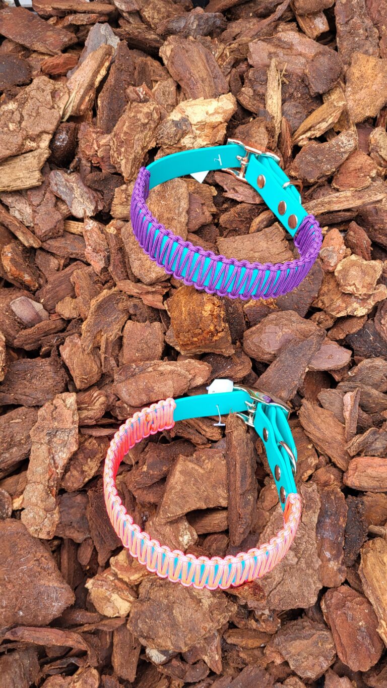 Hondenhalsband Zusjes De Jong