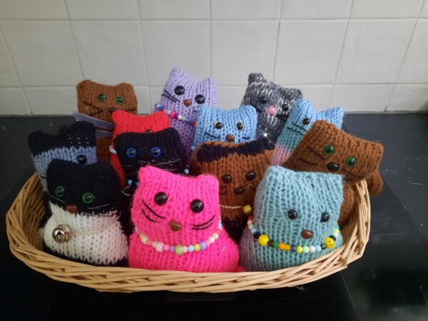KnittyKat